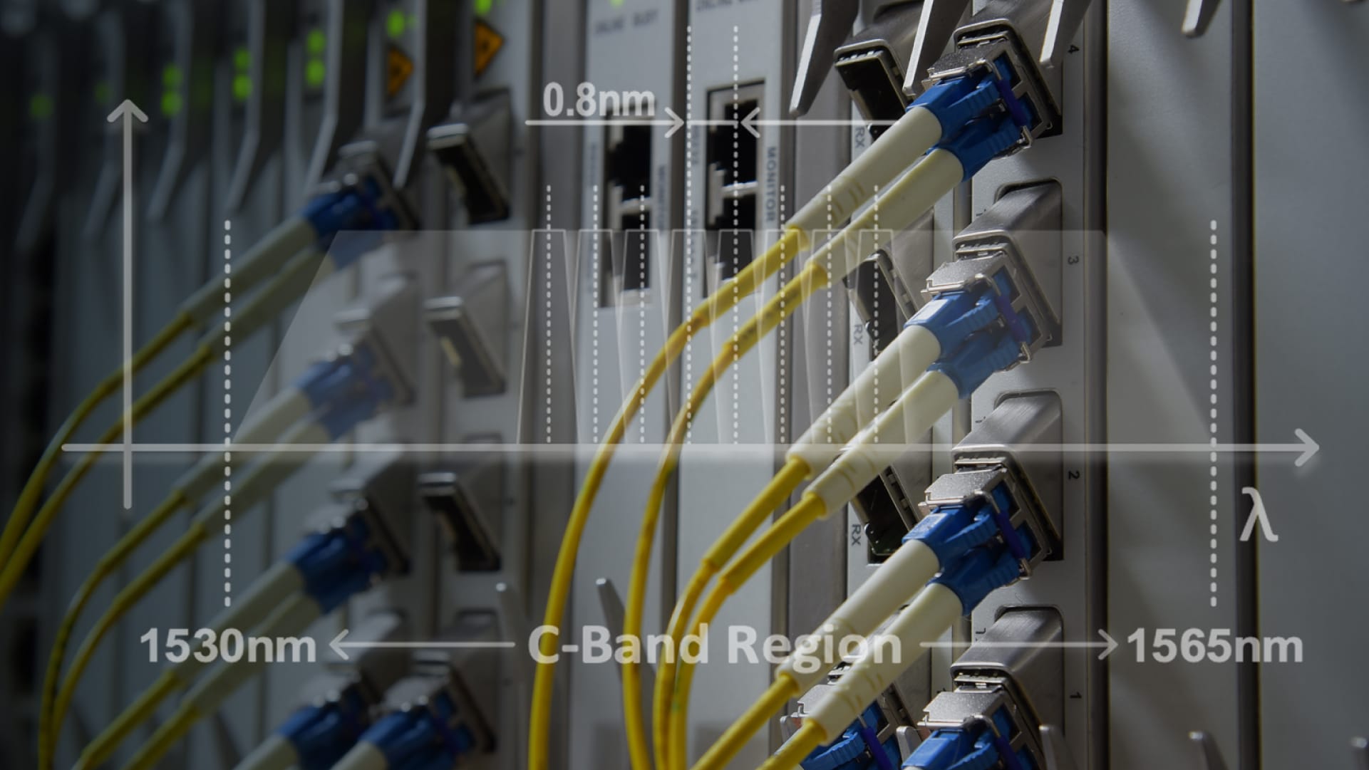 Cables in the C-Band Region plugged into optical data center equipment