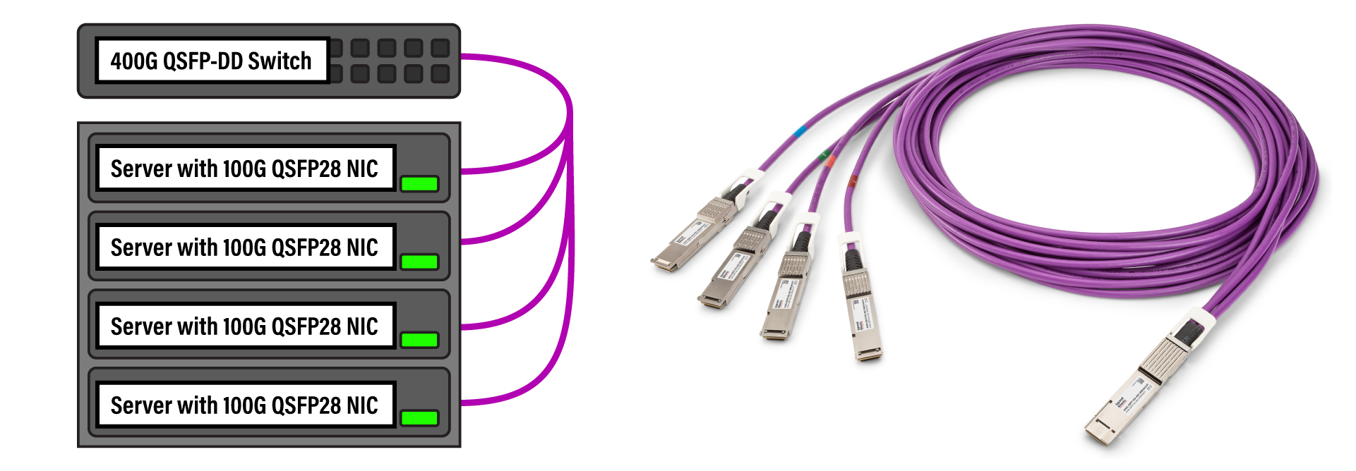 An illustration of 400G switches next to AEC breakout cable.