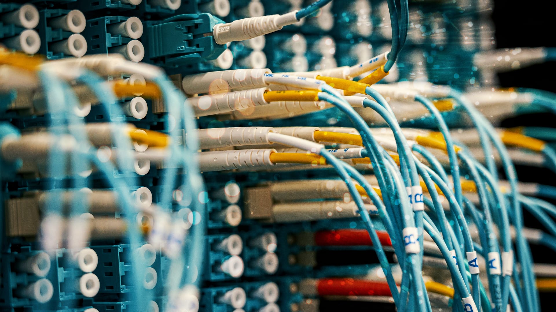 Several colorful cables plugged into data center equipment