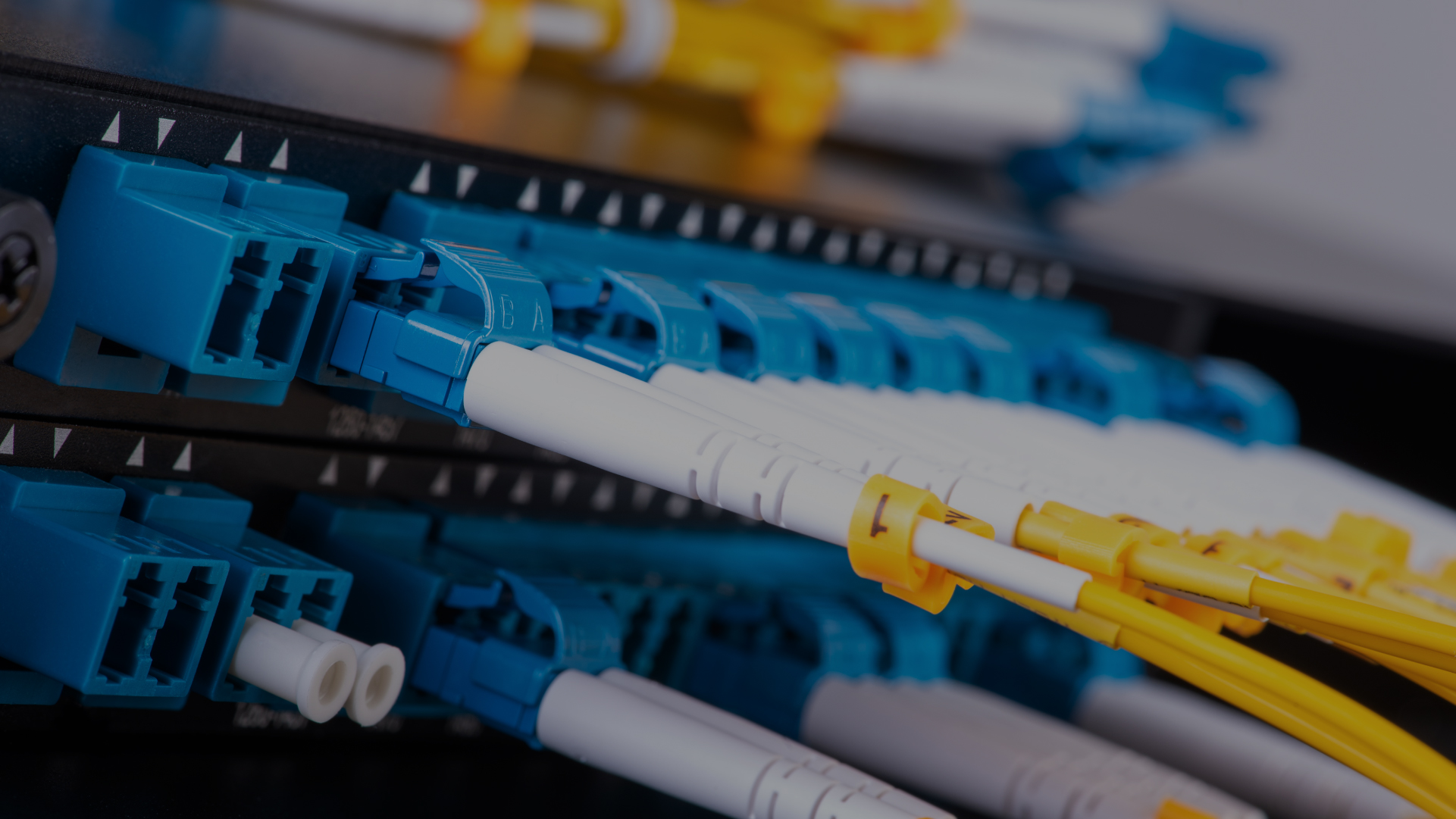 Optical cables plugged into data center equipment