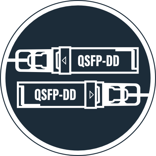 QSFP-DD to QSFP-DD