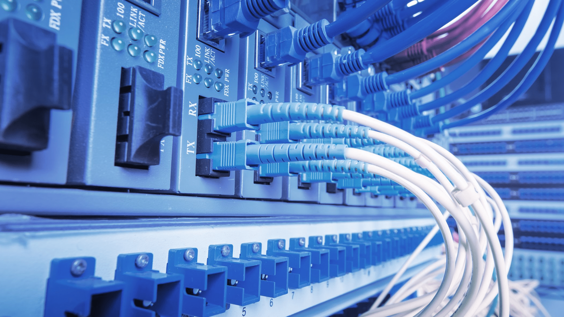 Several white and blue cables plugged into data center equipment